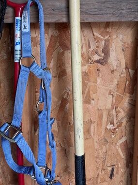 Hardly used lavender nylon weaver halter